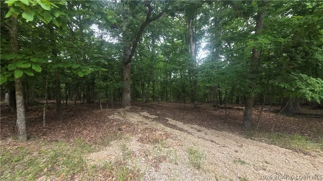 Living room — TBD Cherokee Rd. (Kays Pt 8 lot 214) Road Lake Ozark Missouri real estate