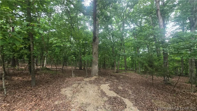 Kitchen — TBD Cherokee Rd. (Kays Pt 8 lot 214) Road Lake Ozark Missouri real estate