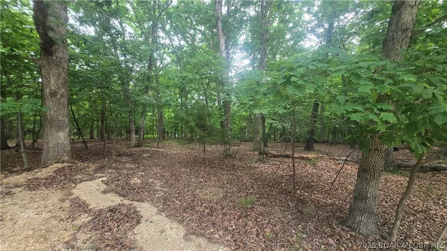 Primary bedroom — TBD Cherokee Rd. (Kays Pt 8 lot 214) Road Lake Ozark Missouri real estate