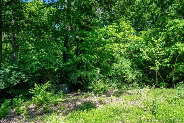 Primary bedroom — Lots 17 & 18 Meadow Lake Estates Eldon Missouri real estate
