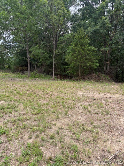 Living room — Lot 1 Highway 135 Gravois Mills Missouri real estate