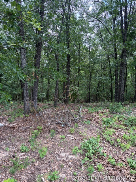 Primary bedroom — Lot 1 Highway 135 Gravois Mills Missouri real estate