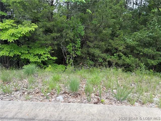 Kitchen — Lot 25 Country Ridge Drive Camdenton Missouri real estate