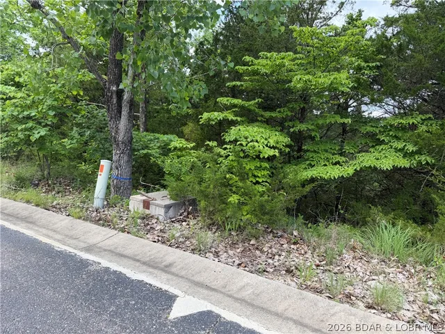 Primary bedroom — Lot 25 Country Ridge Drive Camdenton Missouri real estate