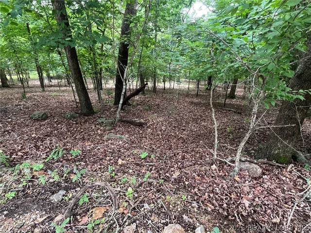 Kitchen — Lot 672 Clover Lane Lake Ozark Missouri real estate