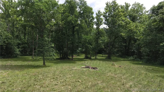 Primary bedroom — 55 Mackey Road Rocky Mount Missouri real estate