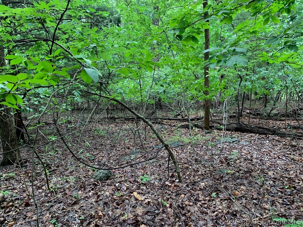 Lot 736 Linn Creek Road Lake Ozark Missouri home for sale listed at $9,000