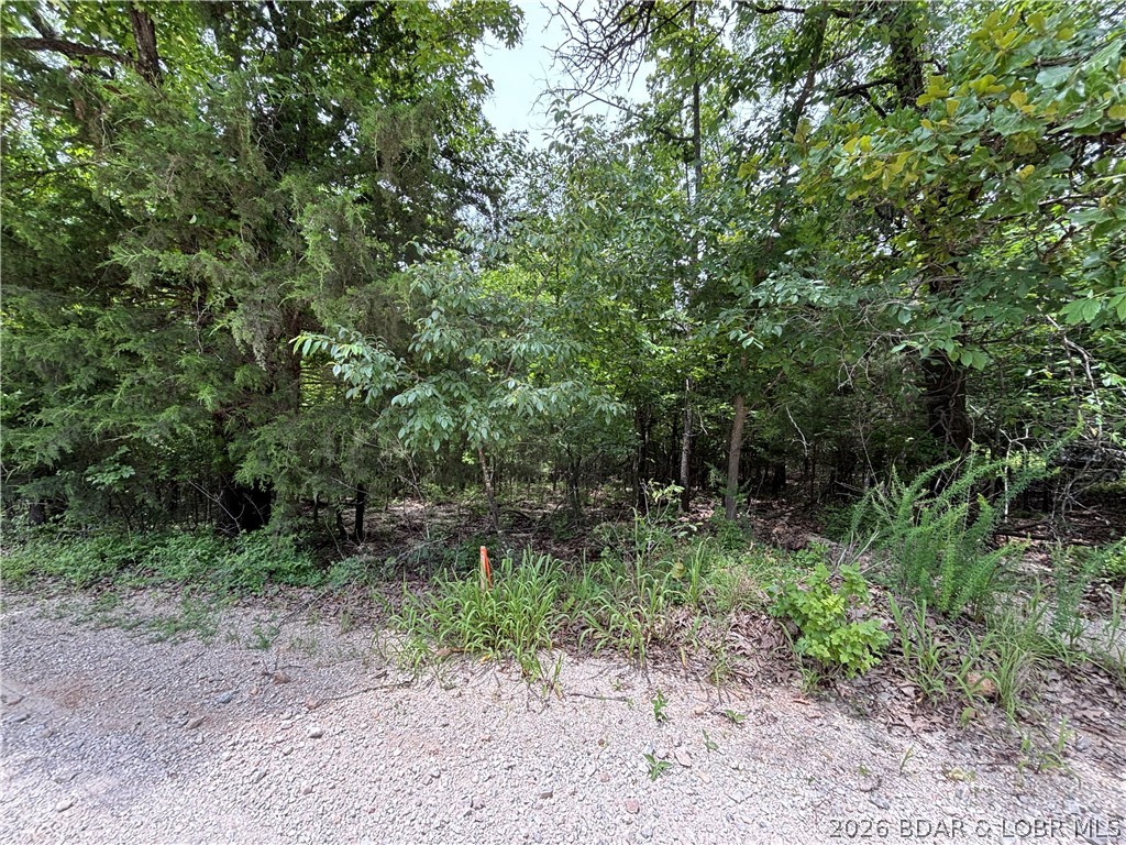 31222 Idyll Acres Gravois Mills Missouri home for sale listed at $52,000