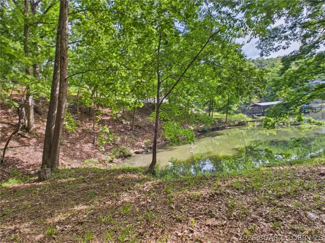Primary bedroom — Blue Coveview Lane Sunrise Beach Missouri real estate