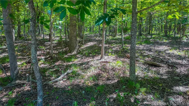 Primary bedroom — Lot #902 Muirfield Drive Sunrise Beach Missouri real estate