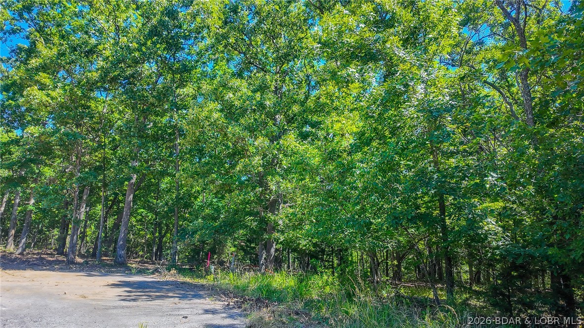 Lot #1318 Champion Court Sunrise Beach Missouri home for sale listed at $22,500