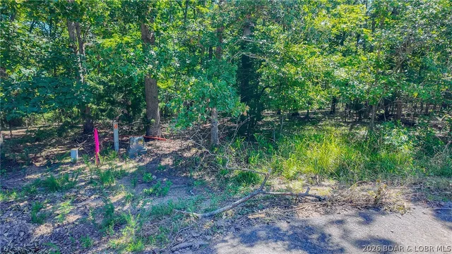 Living room — Lot #1318 Champion Court Sunrise Beach Missouri real estate