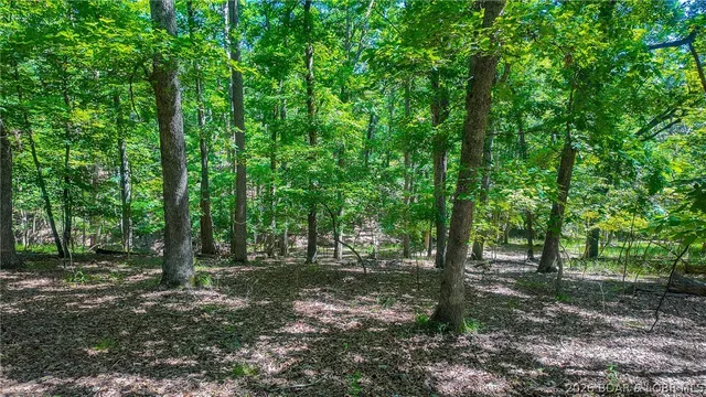 Kitchen — Lot #1318 Champion Court Sunrise Beach Missouri real estate