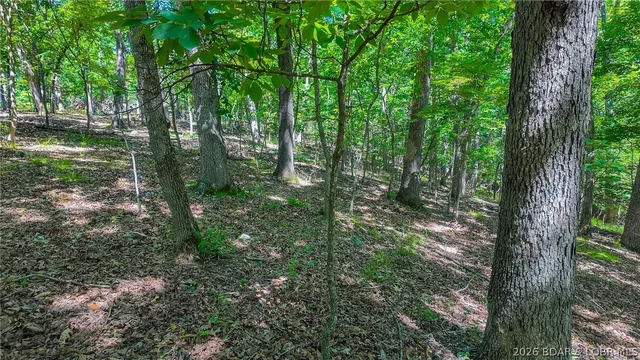 Primary bedroom — Lot #1318 Champion Court Sunrise Beach Missouri real estate