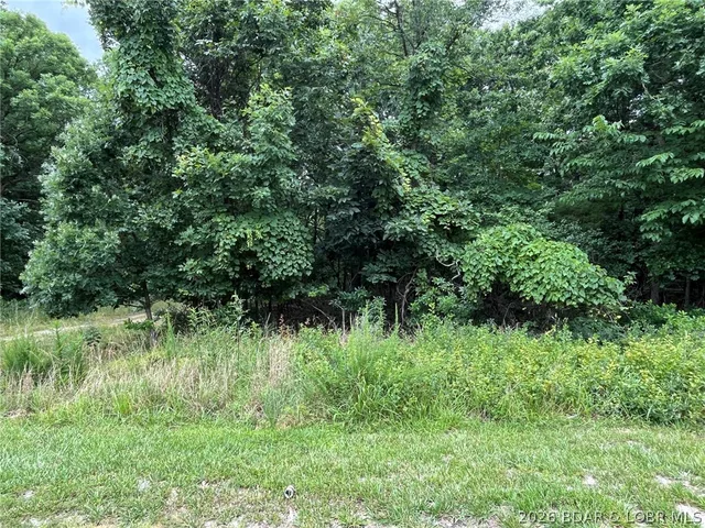 Primary bedroom — Lot 1050 Bittersweet Road Lake Ozark Missouri real estate