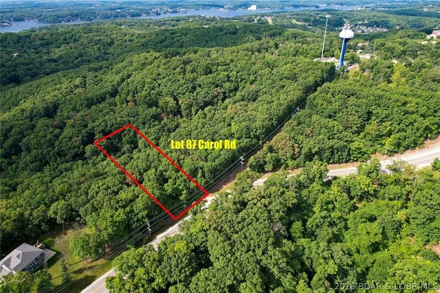 Front exterior — 87 Lot Carol Road Four Seasons Missouri real estate