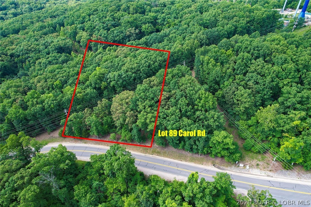 89 Lot Carol Road Four Seasons Missouri home for sale listed at $3,999
