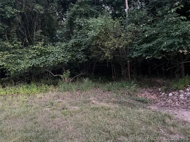 Primary bedroom — 89 Lot Carol Road Four Seasons Missouri real estate