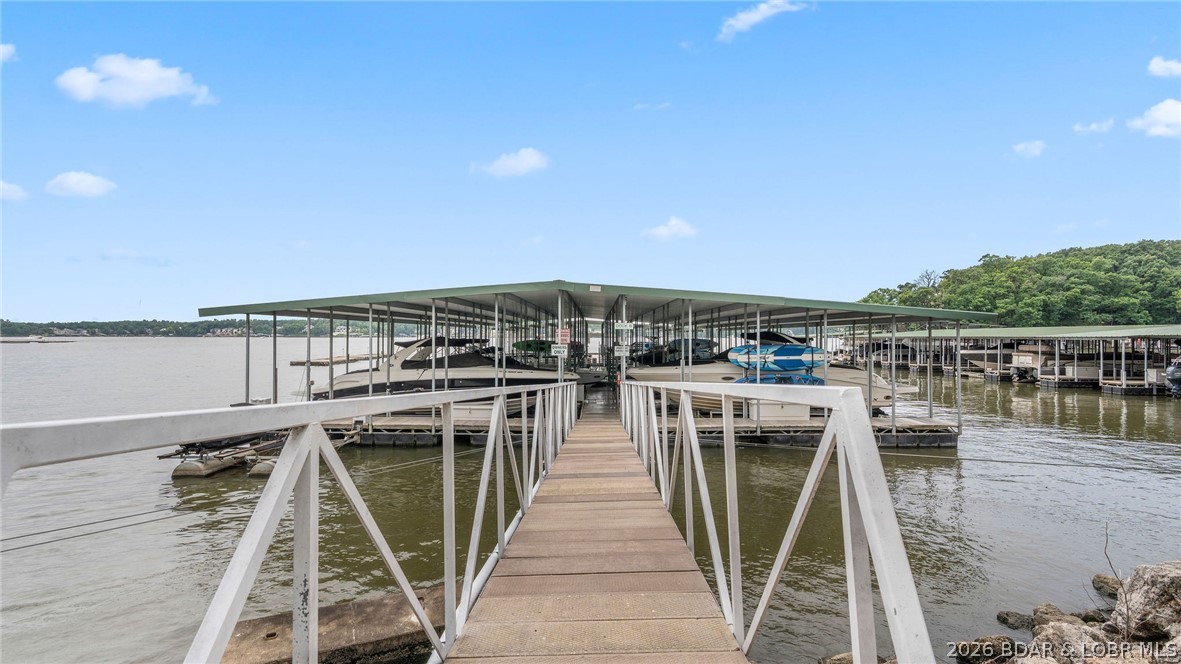 Photo 50