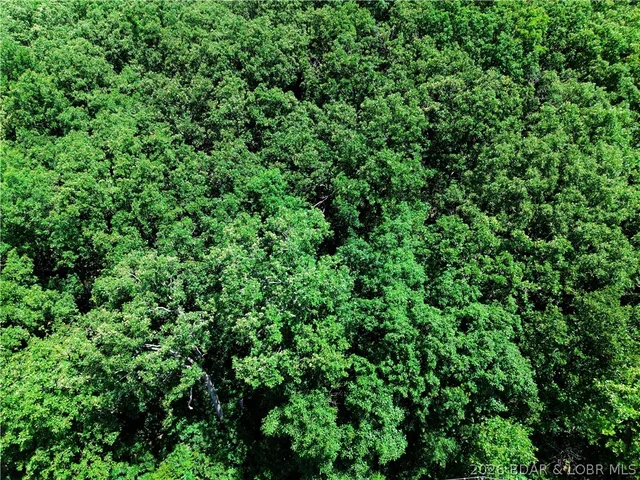 Kitchen — Lot 106 Apache Lane Rocky Mount Missouri real estate