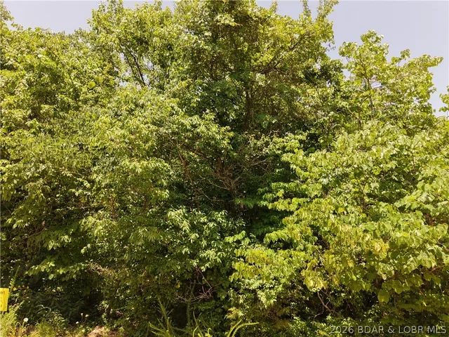 Primary bedroom — Lot 56 Hillview Road Stover Missouri real estate