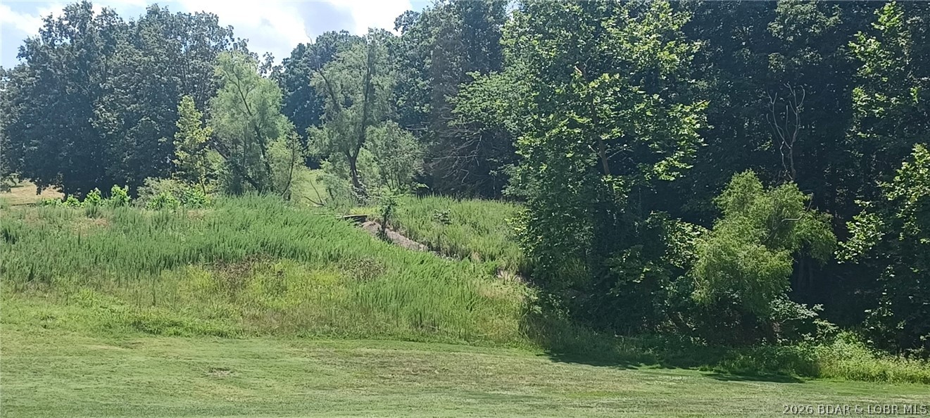 Lot 193 Player Drive, Gravois Mills MO