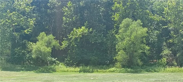 Front exterior — Lot 193 Player Drive Gravois Mills Missouri real estate