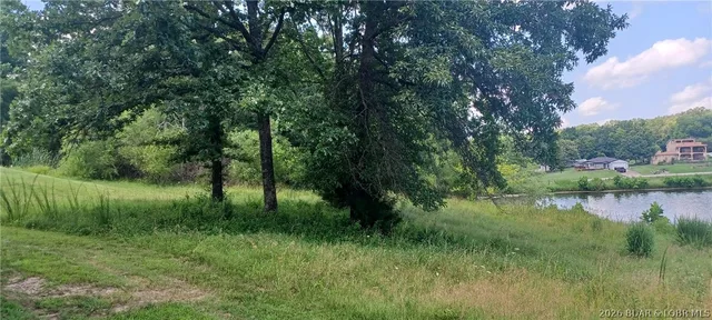 Living room — Lot 193 Player Drive Gravois Mills Missouri real estate
