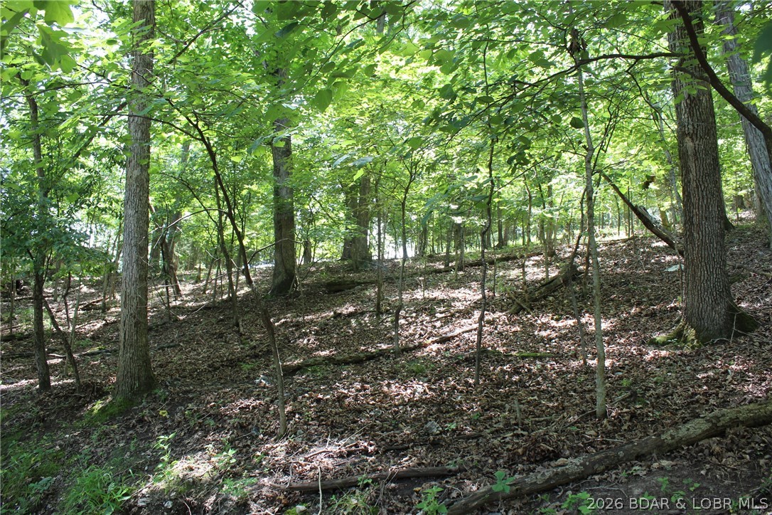 Karen Road Gravois Mills Missouri home for sale listed at $12,000