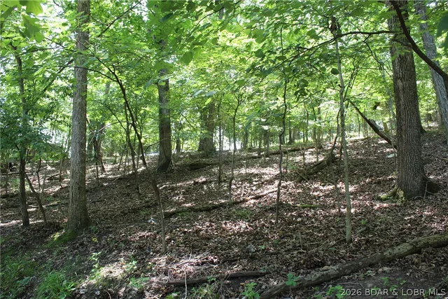 Karen Road, Gravois Mills MO