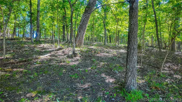 Kitchen — Lot #251 Grand Cove Road Sunrise Beach Missouri real estate