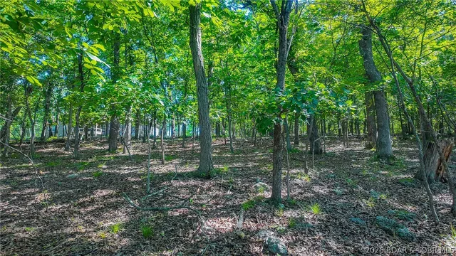Primary bedroom — Lot #251 Grand Cove Road Sunrise Beach Missouri real estate