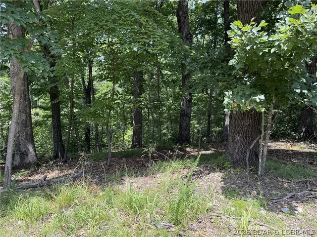 Kitchen — Lot 736 Fairlawn Drive Four Seasons Missouri real estate
