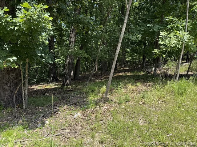 Primary bedroom — Lot 736 Fairlawn Drive Four Seasons Missouri real estate
