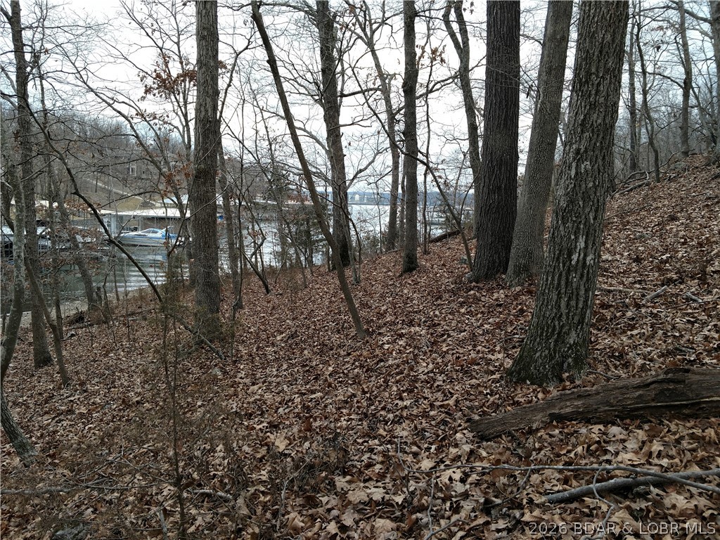 Photo 24