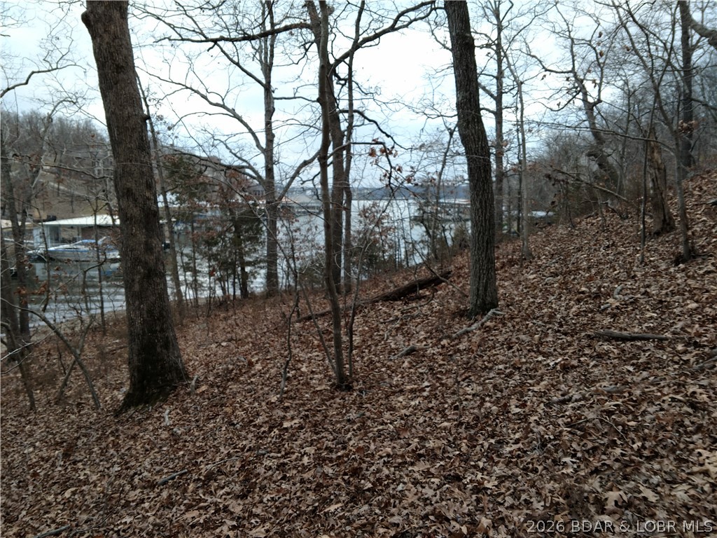 Photo 25