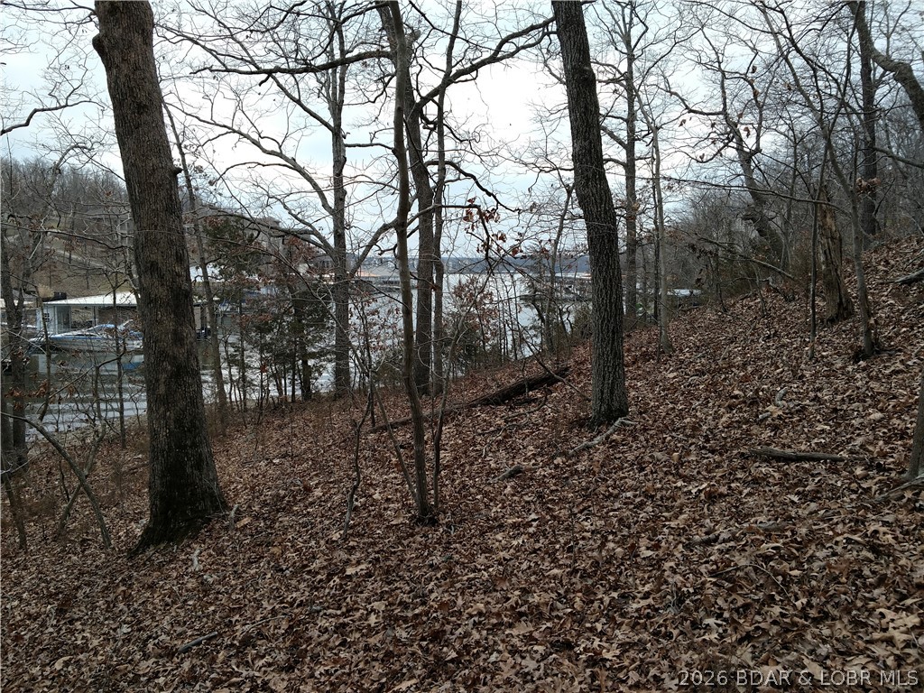 Photo 26