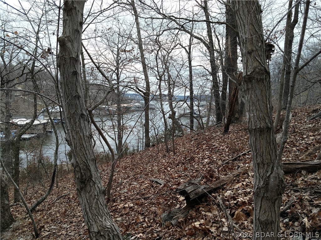 Photo 28