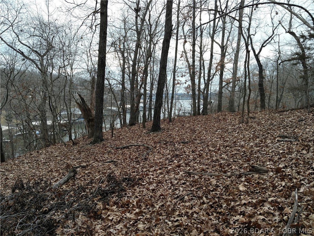 Photo 29
