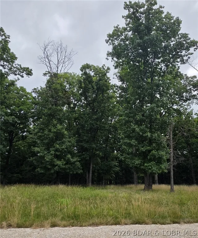 Living room — Lot 123 Terry Road Lake Ozark Missouri real estate