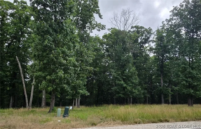Front exterior — Lot 124 Terry Road Lake Ozark Missouri real estate