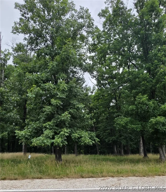 Living room — Lot 121 Terry Road Lake Ozark Missouri real estate