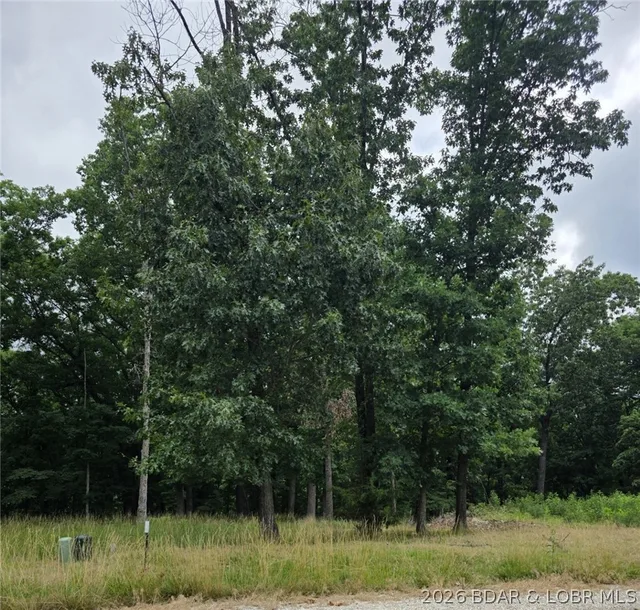 Living room — Lot 120 Terry Road Lake Ozark Missouri real estate