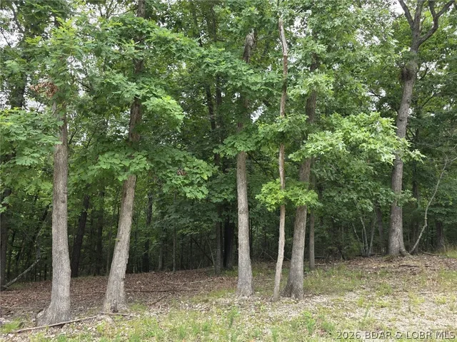 Kitchen — Lot 110 Terry Road Lake Ozark Missouri real estate