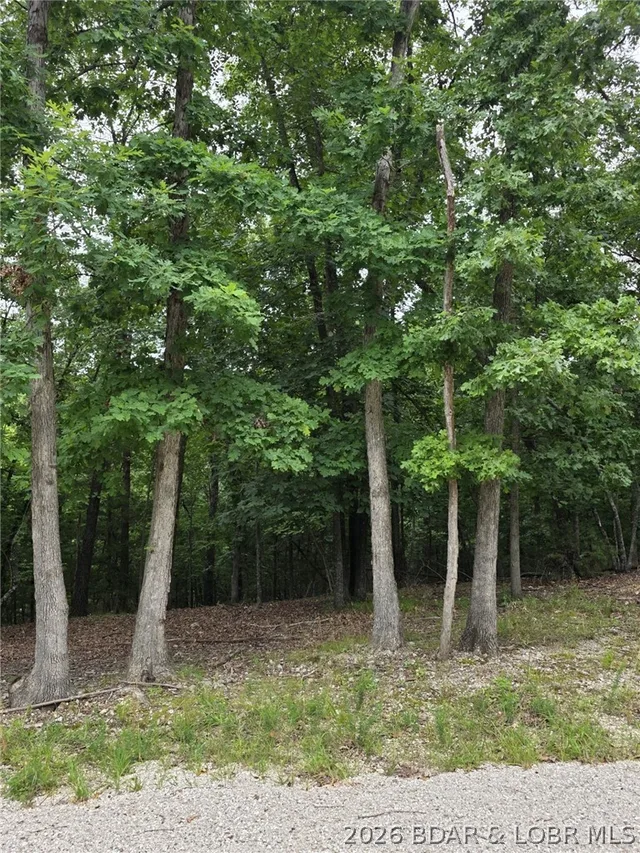 Primary bedroom — Lot 110 Terry Road Lake Ozark Missouri real estate