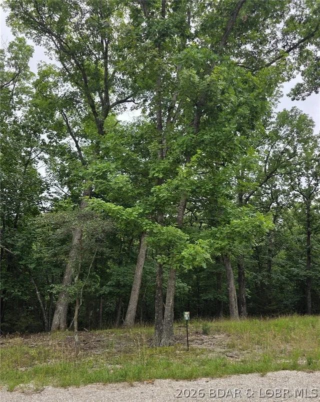 Living room — Lot 109 Terry Road Lake Ozark Missouri real estate