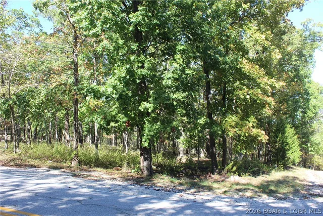 Front exterior — Lot 1241 Woodhaven Circle Four Seasons Missouri real estate