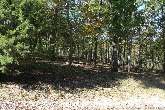 Primary bedroom — Lot 1241 Woodhaven Circle Four Seasons Missouri real estate
