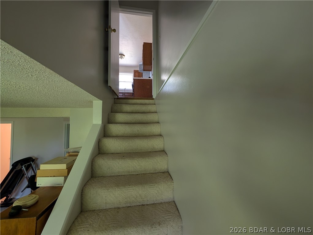 Photo 51