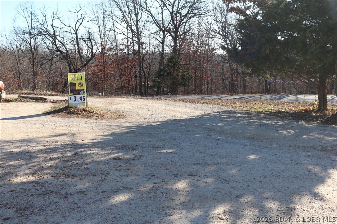 Photo 41